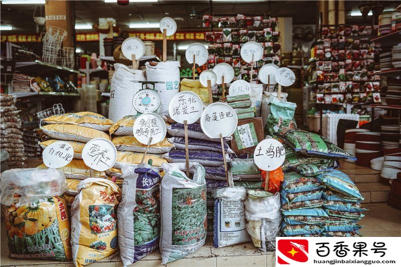 南宁最大的花鸟市场在哪里