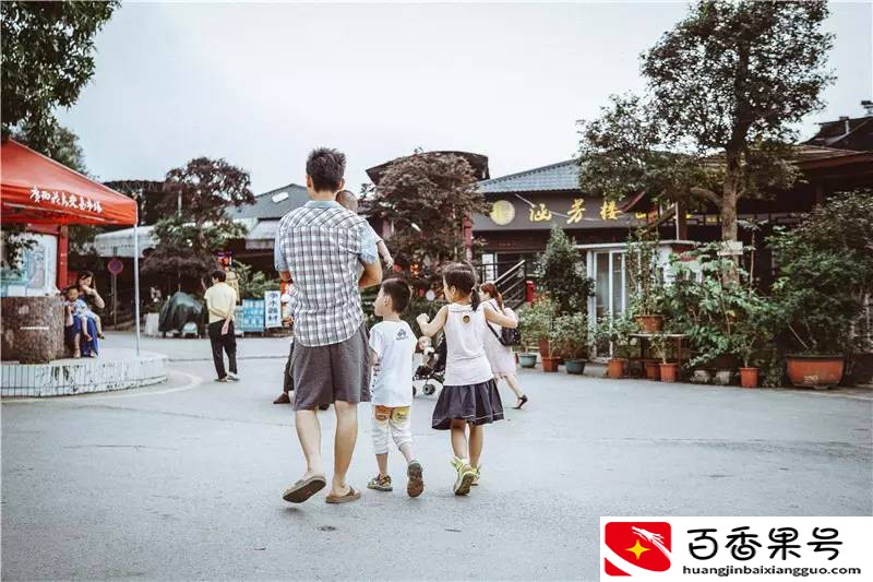 南宁最大的花鸟市场在哪里