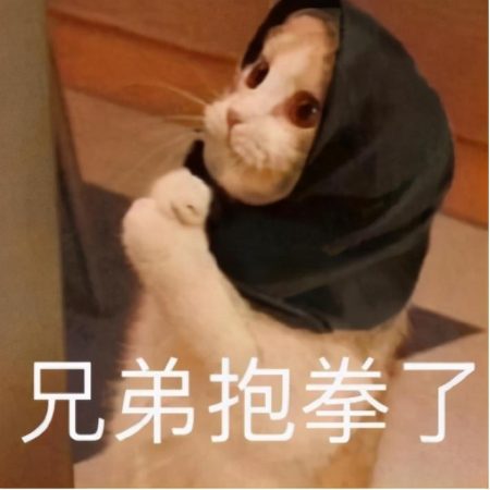基金定投的真实经历