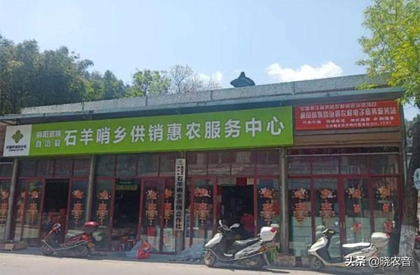 2022年必火的创业项目