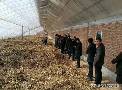 蚯蚓养殖每亩需要投资多少钱