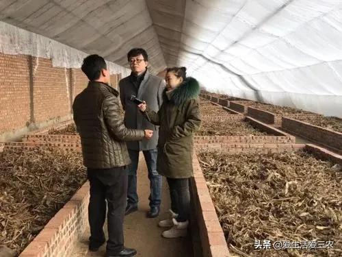 蚯蚓养殖每亩需要投资多少钱