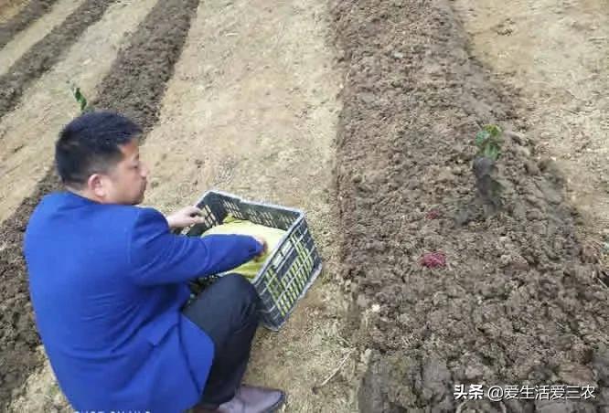 蚯蚓养殖每亩需要投资多少钱