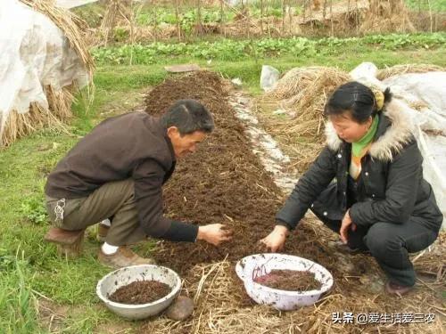 蚯蚓养殖每亩需要投资多少钱