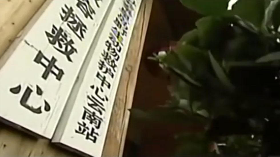 自己养的蛇会咬人吗