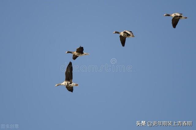 天津彩礼一般多少钱