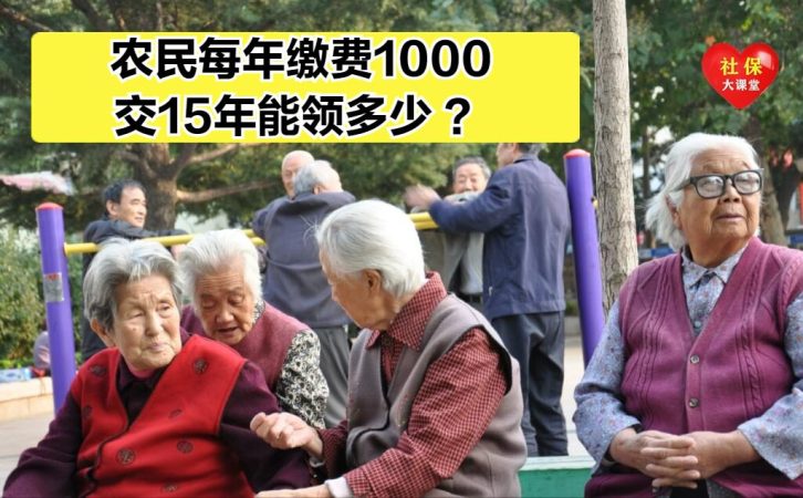 农村养老保险一年交多少钱