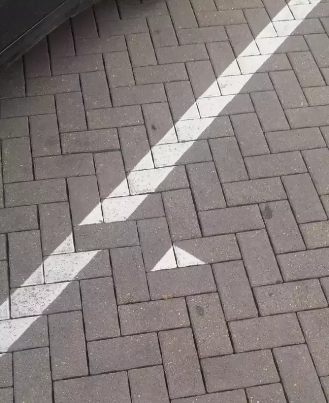 千万别手贱去搜这些图