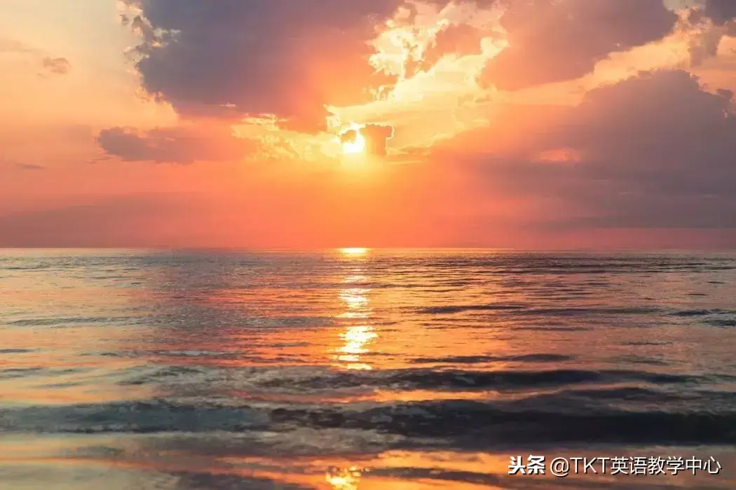 罗永浩学历这么低怎么教英语