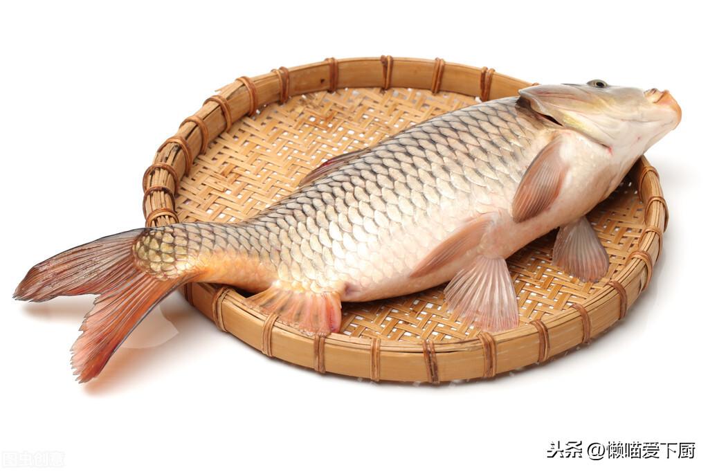 水煮鱼用什么鱼做好吃
