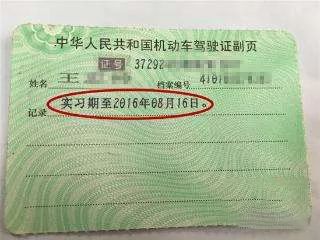 实习标志哪里买好