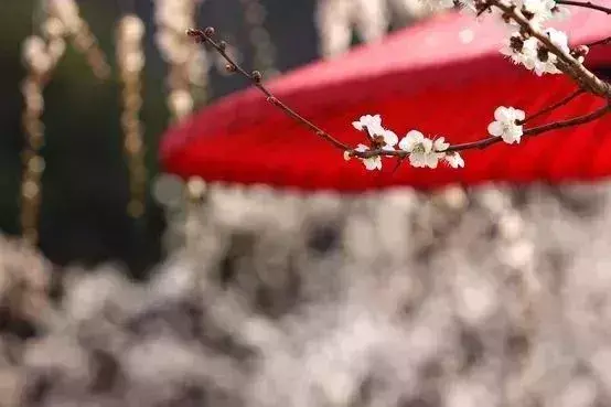 激励学生努力上进的名言警句