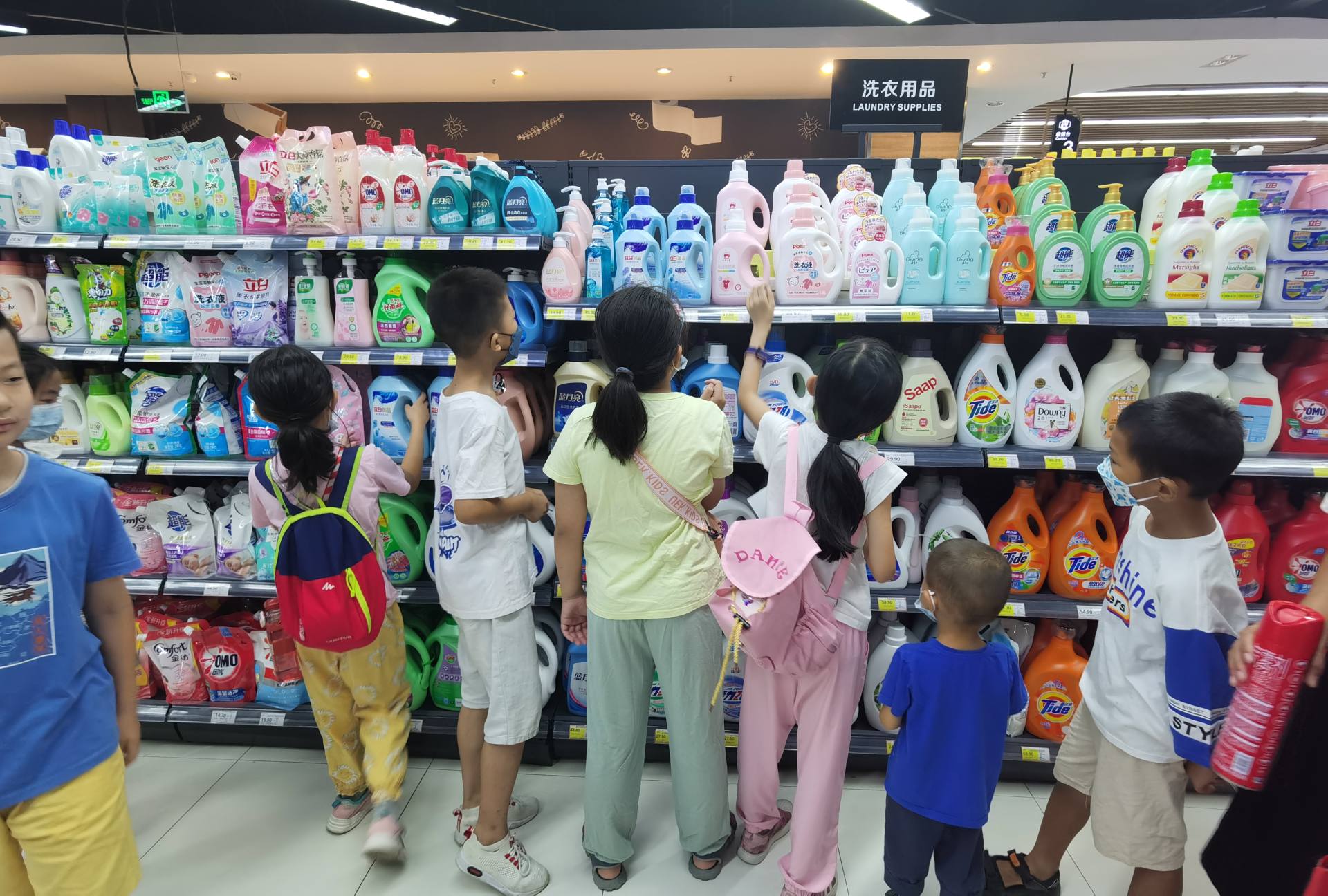 小学生社会实践活动有哪些