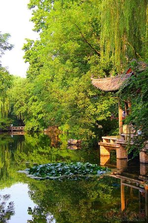 教师的职责是什么