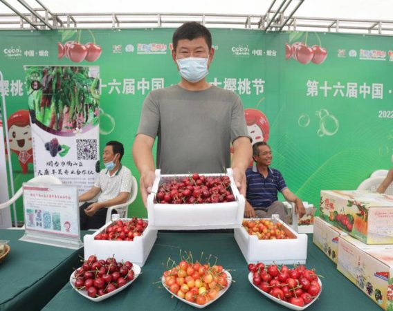 互联网销售可以卖什么产品