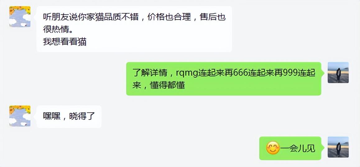 猫咪飞机托运很痛苦吗