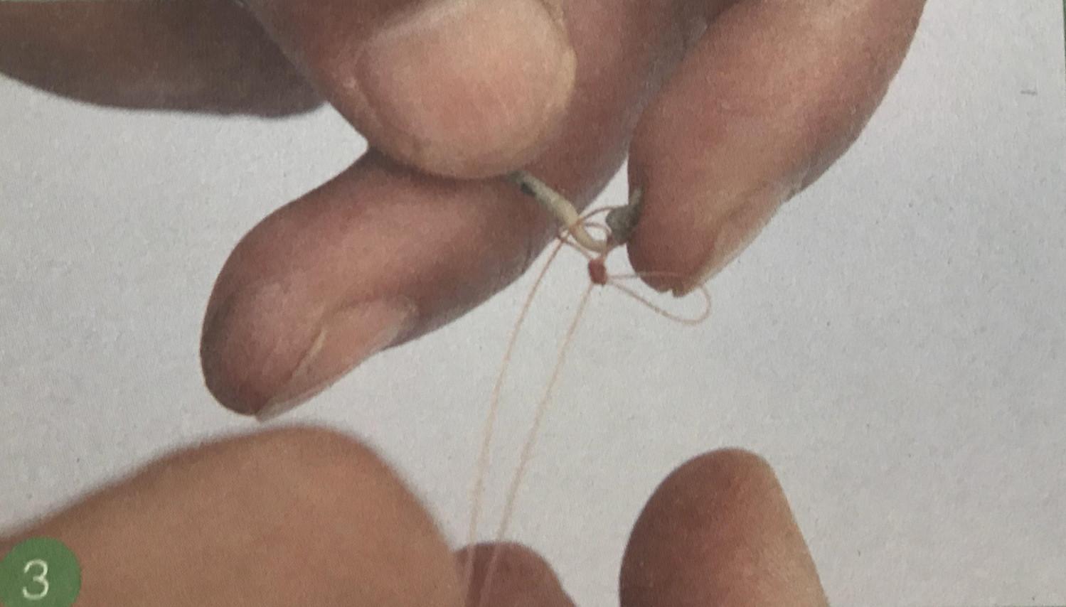 新买的鱼竿怎么绑鱼线