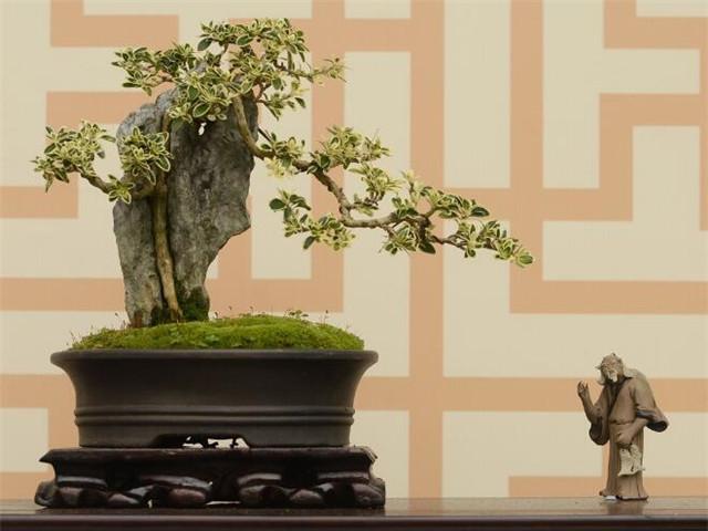 朋友搬新家送什么东西比较好