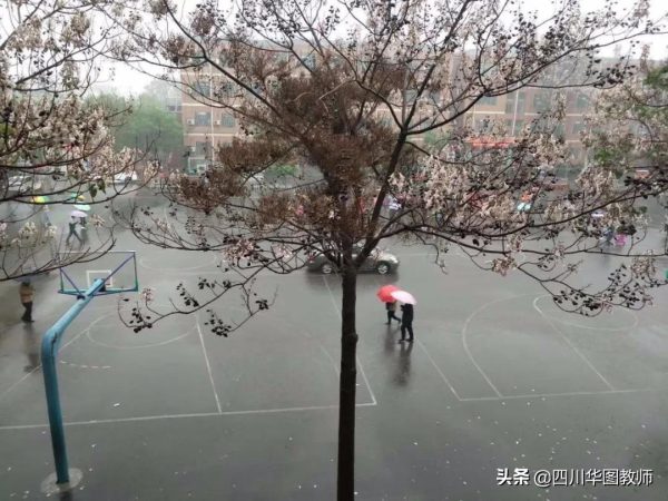 千万别从私立学校辞职
