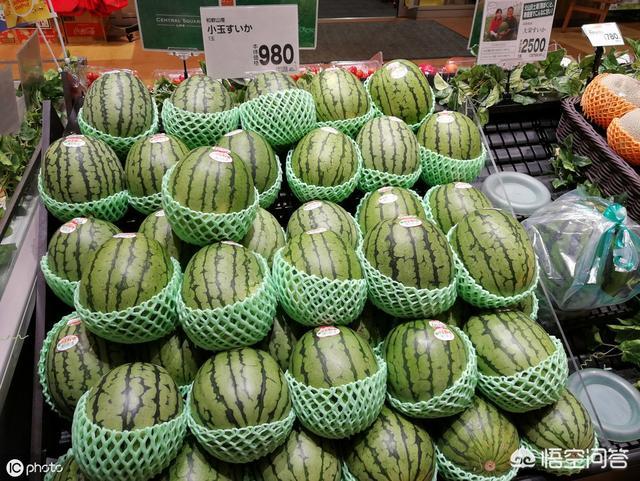 中国西瓜为什么不往日本卖