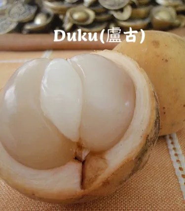 马来西亚特产水果有哪些
