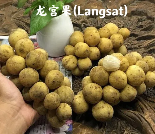 马来西亚特产水果有哪些