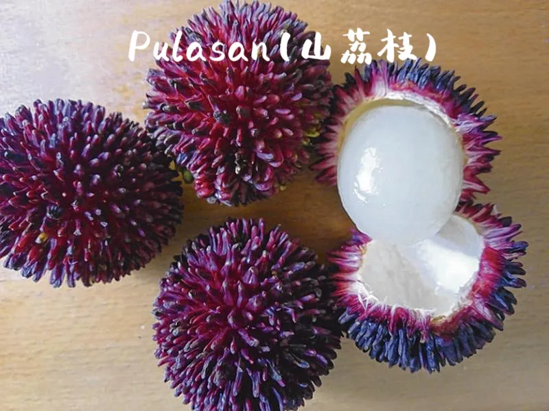 马来西亚特产水果有哪些