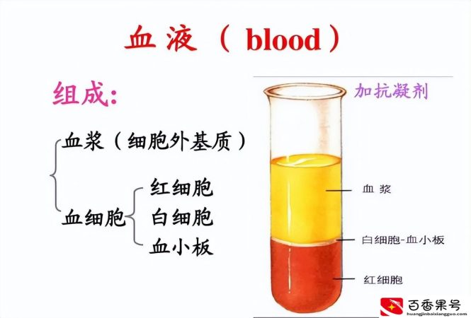 金色血液的人真的有吗？有些人的血是金色的正常吗？