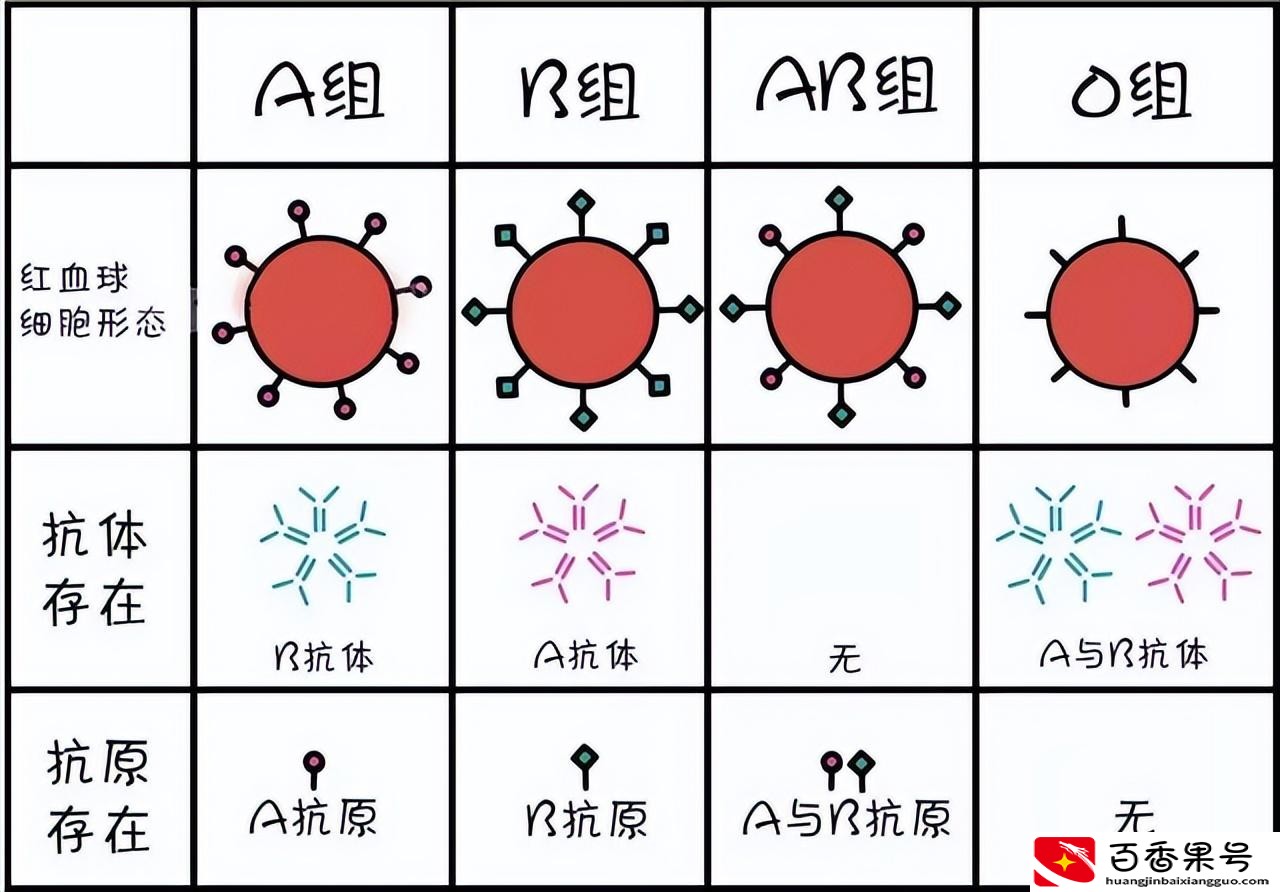 金色血液的人真的有吗？有些人的血是金色的正常吗？