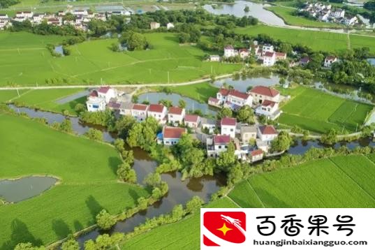 适合农村创业的小生意有哪些