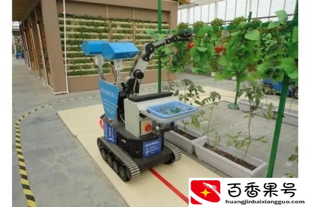适合农村创业的小生意有哪些