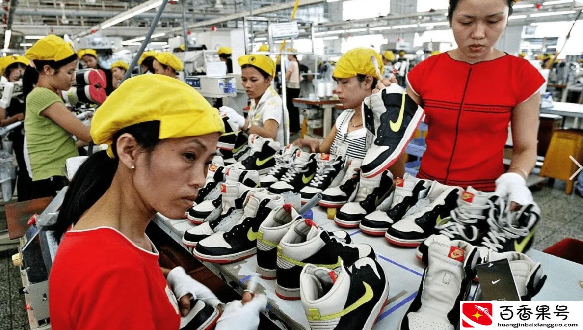 中国人去越南淘金赚到钱了吗