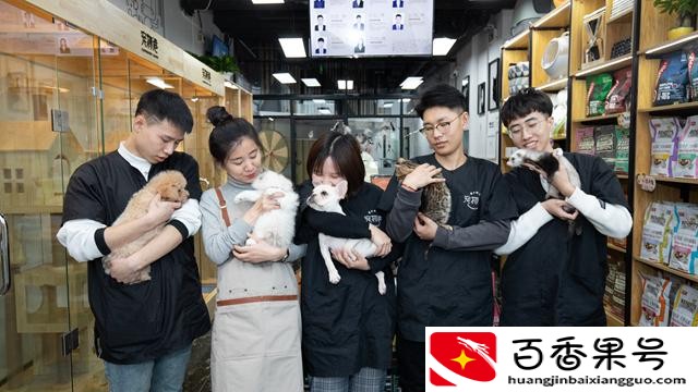 一般宠物店一年的利润多少