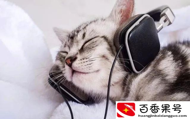 只戴一只耳机危害大吗
