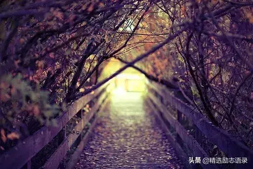 求人不如求己怎么发朋友圈
