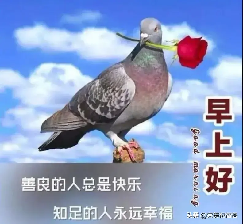 求人不如求己怎么发朋友圈