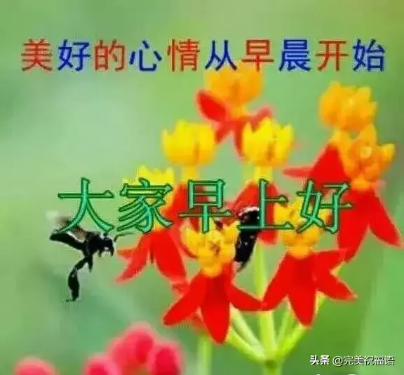 求人不如求己怎么发朋友圈