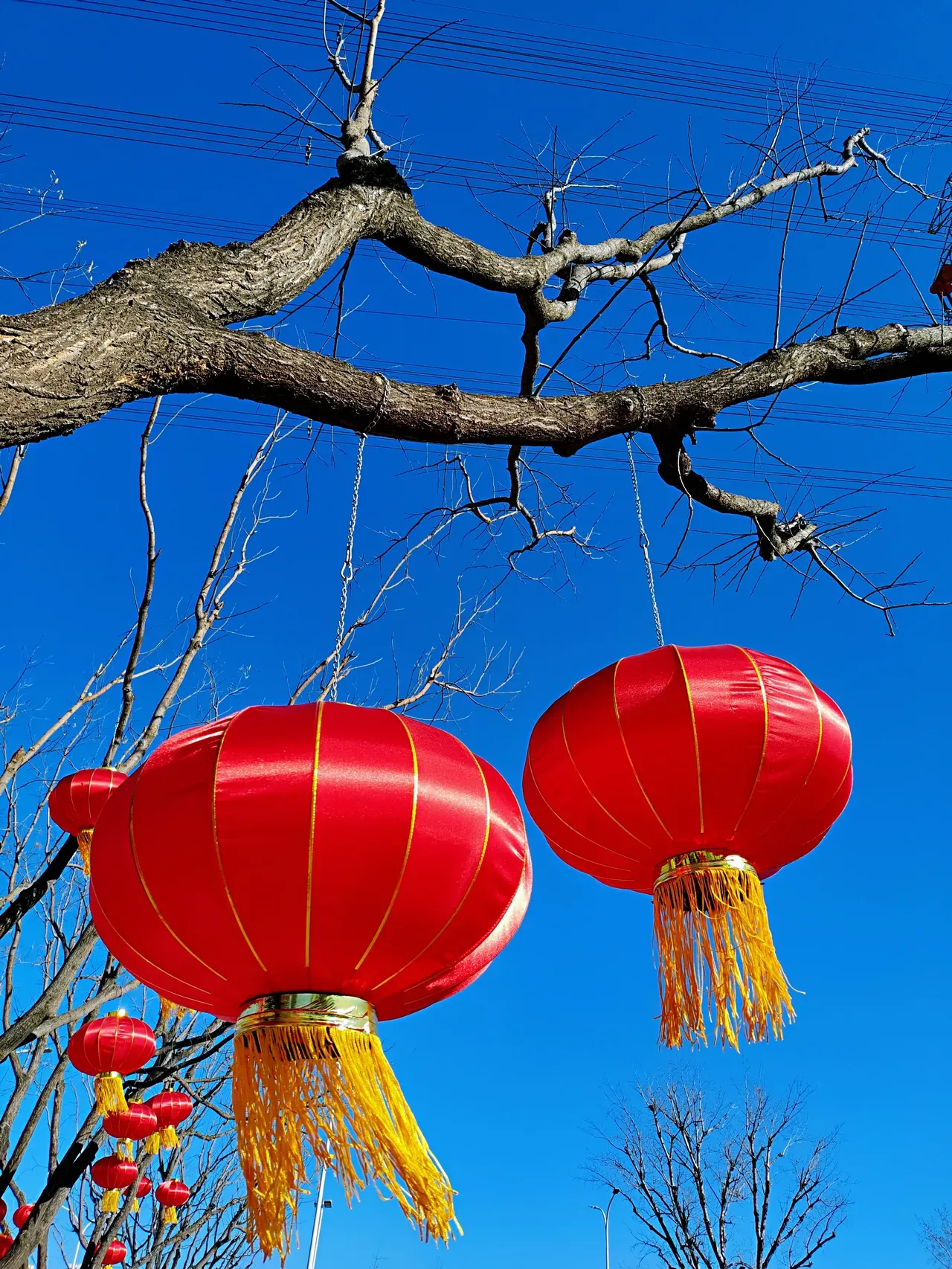 过年吃药是不是不好