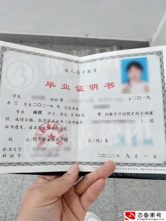 毕业证书丢了怎么补