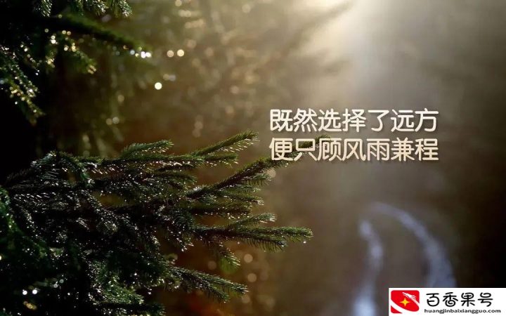 为什么好多人不写小说了