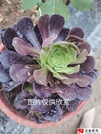 线上家长会感想和收获