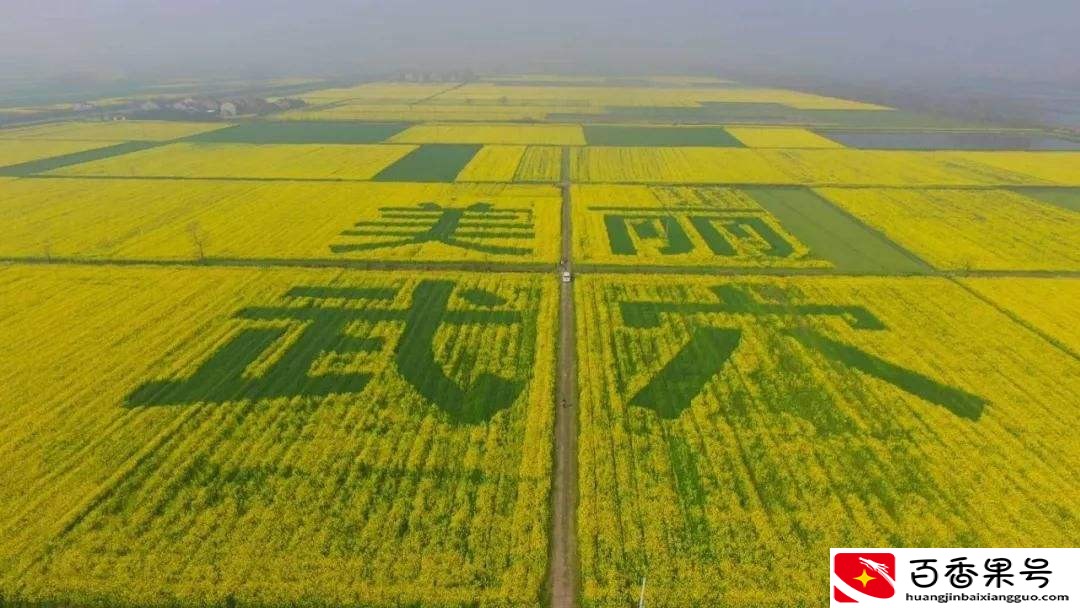 黄冈市最富裕是哪个县