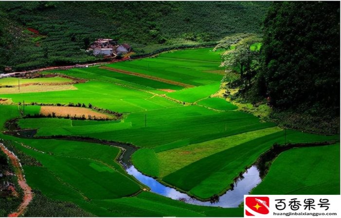 长寿村巴马在什么地方