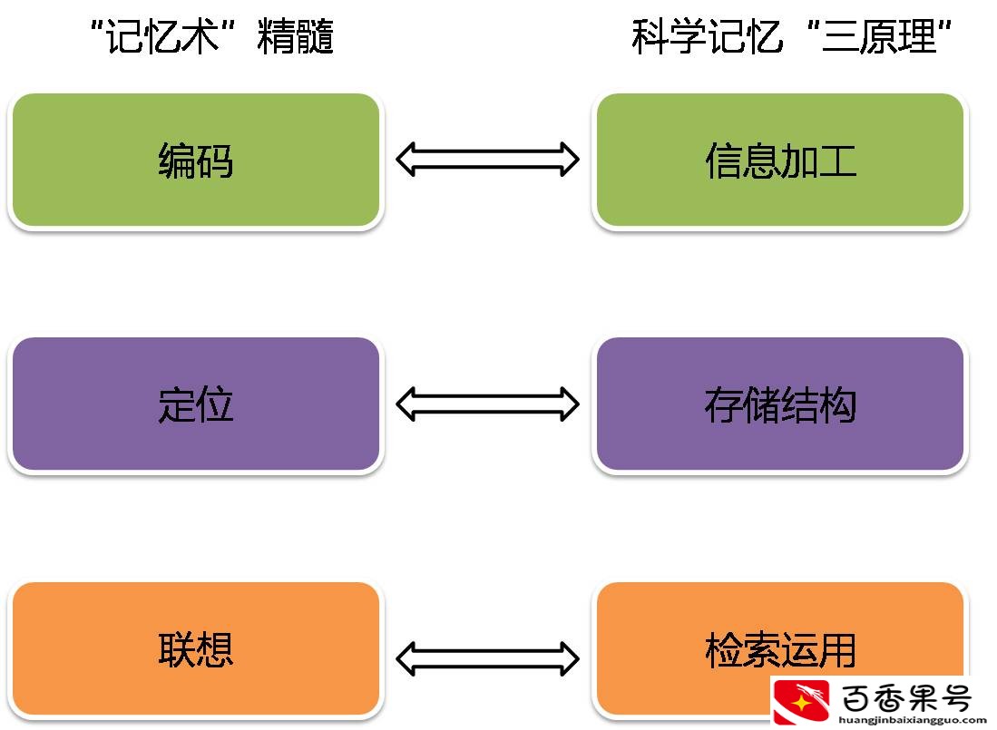 李威最强大脑记忆方法有用吗