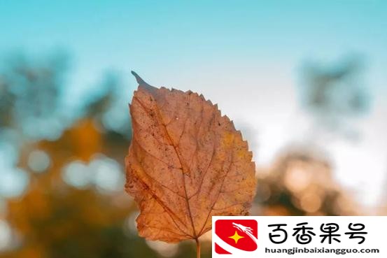 女人福报大的表现