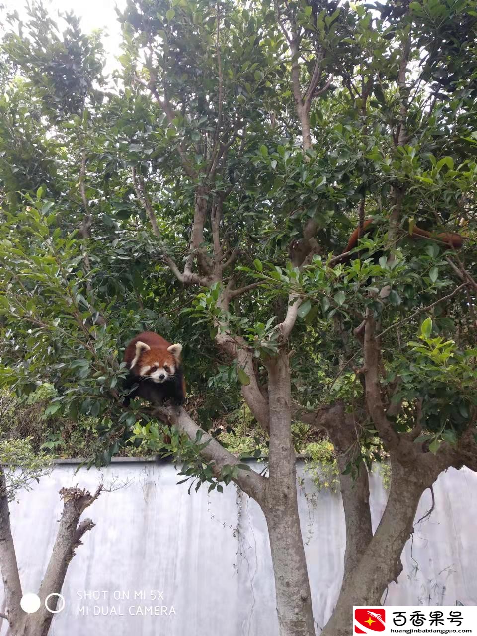 东部华侨城好玩吗