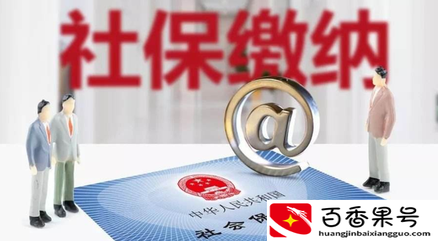 医保每月返钱明细哪里查