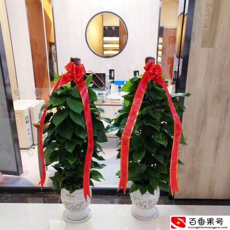 朋友新店开业一般送啥