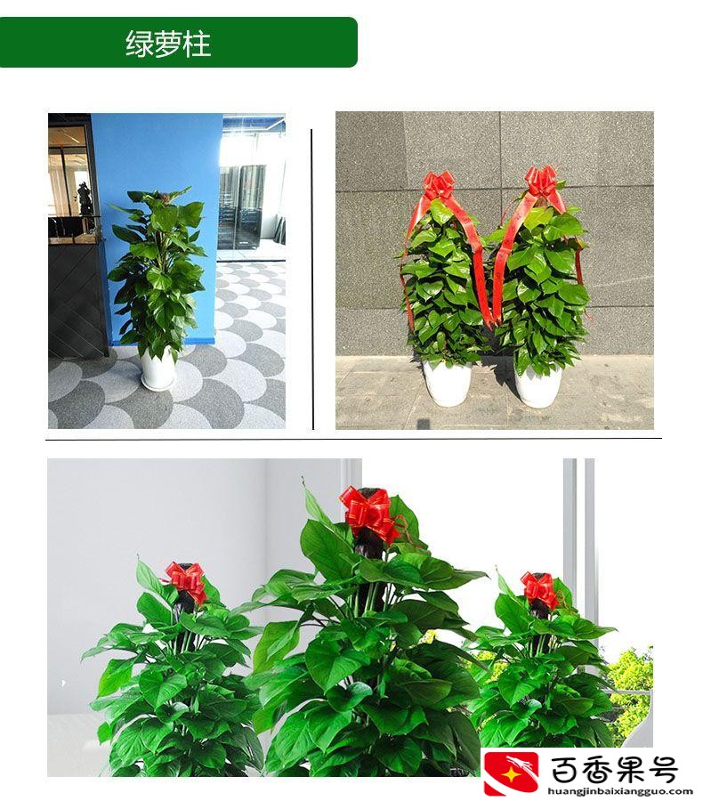 朋友新店开业一般送啥