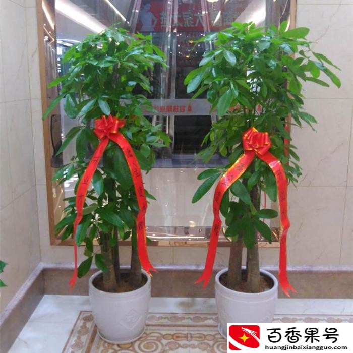 朋友新店开业一般送啥